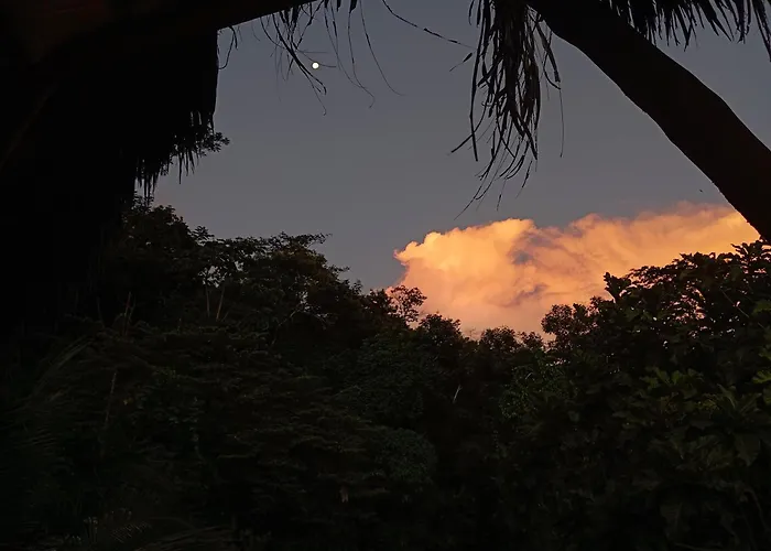 Native Heart Amazon Lodge