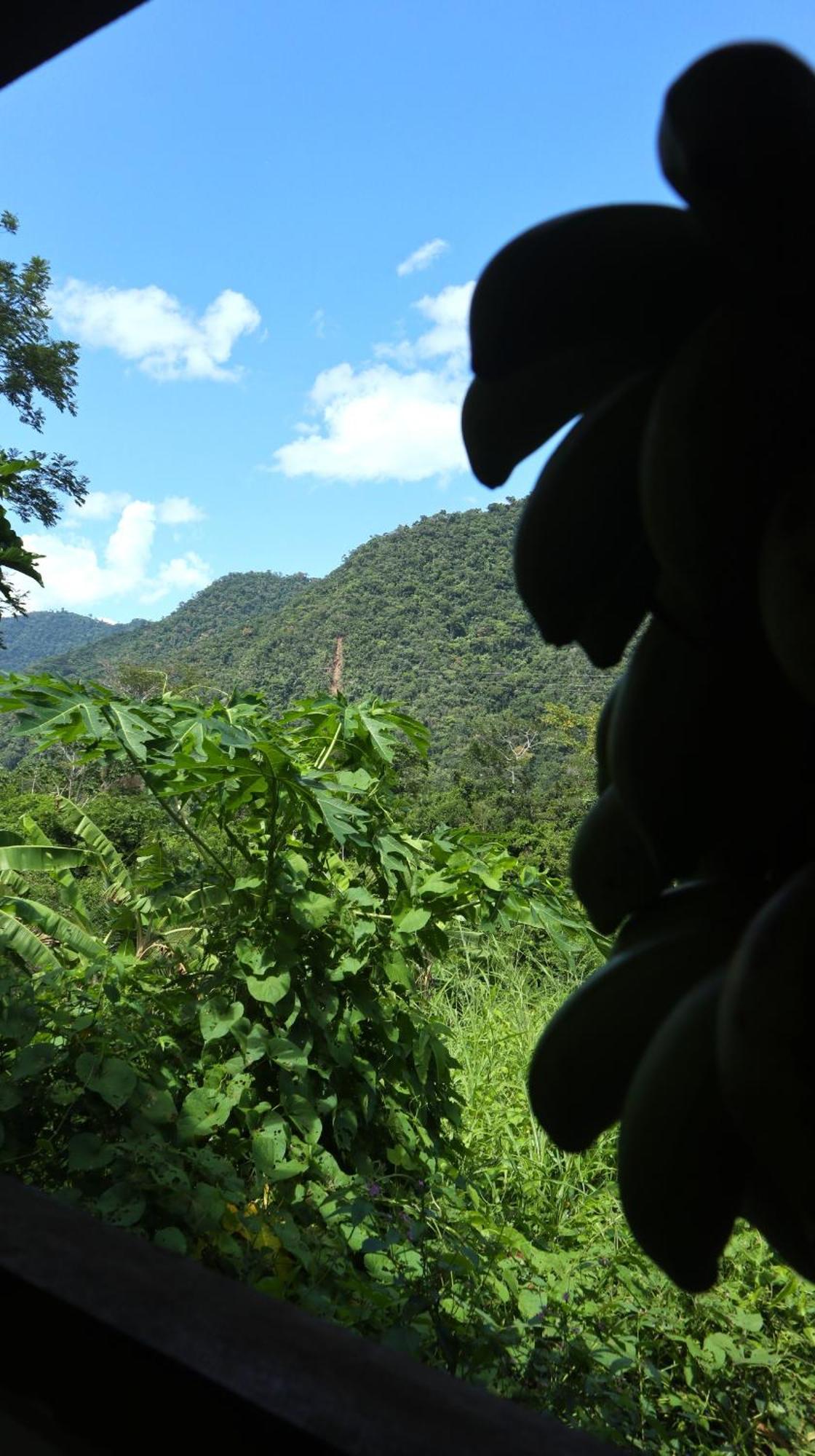 Native Heart Amazon *