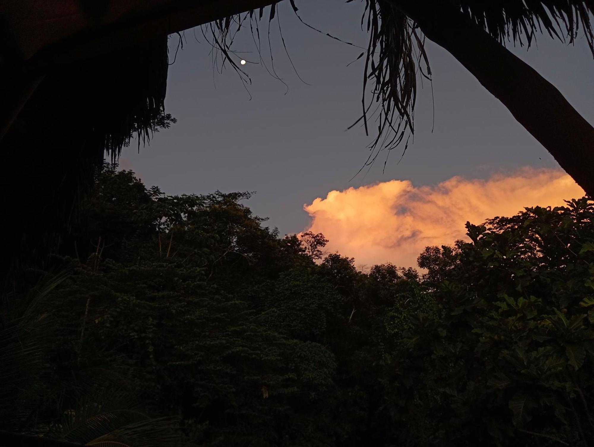 Native Heart Amazon Shapaja