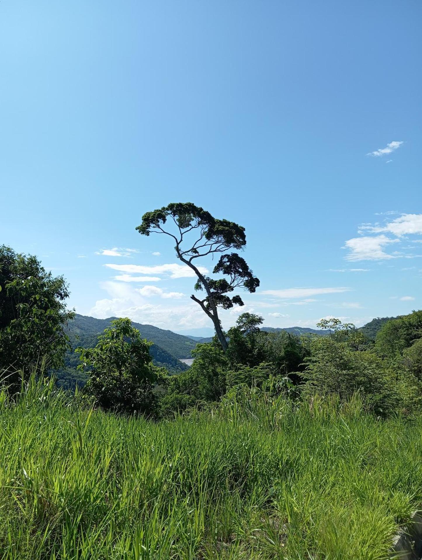 Lodge Native Heart Amazon Shapaja